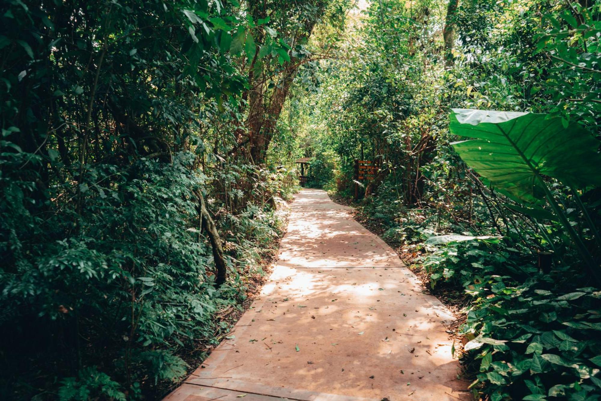 La Aldea De La Selva Lodge Puerto Iguazú Exterior foto